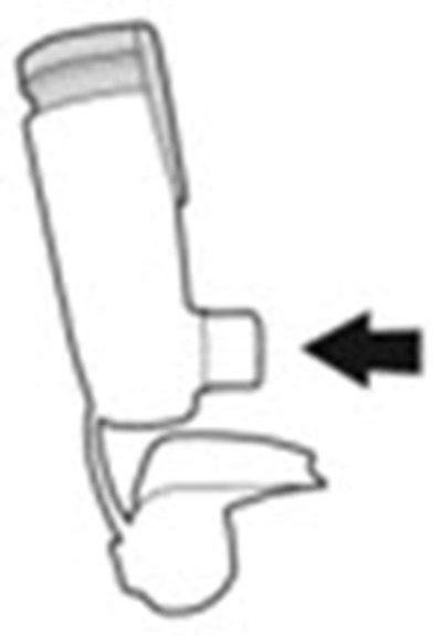 Check (Image 30)