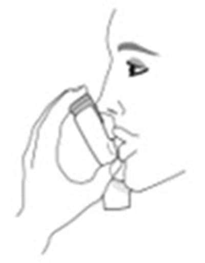 3-shake And Inhale (Image 33)