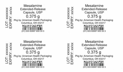 0.375 g Mesalamine Extended-Release Capsule Blister - Blister