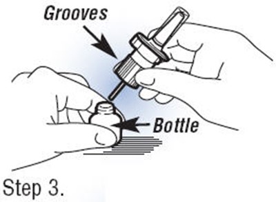 Step 3 (Fortical 04)