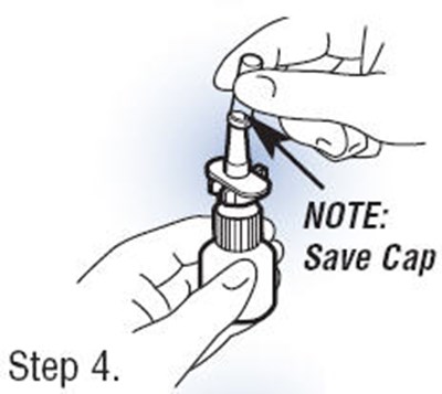 Step 4 (Fortical 05)