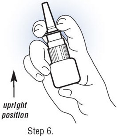 Step 6 (Fortical 07)