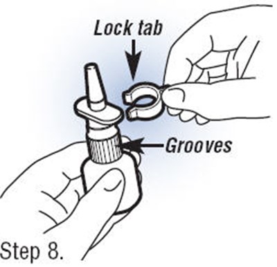Step 8 (Fortical 09)
