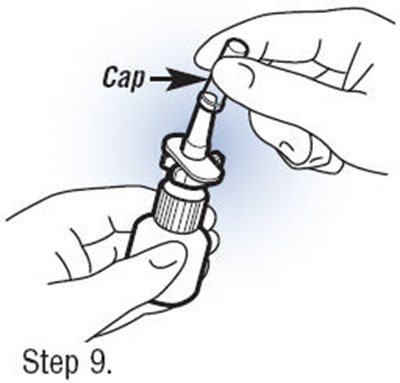 Step 9 (Fortical 10)