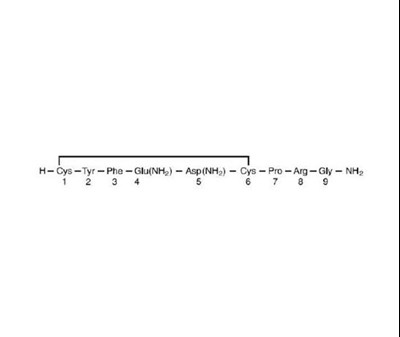 STRUCTURE - structure