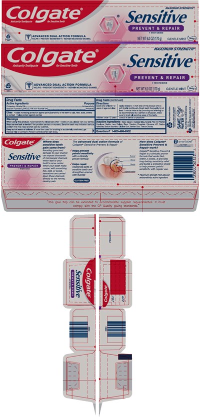 Principal Display Panel (170 g Tube Carton)