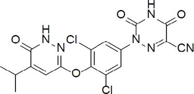madrigal-01.jpg image description - madrigal 01
