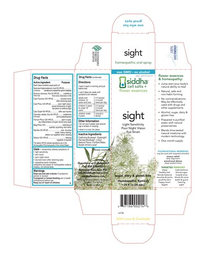 Sight Carton - SightCarton