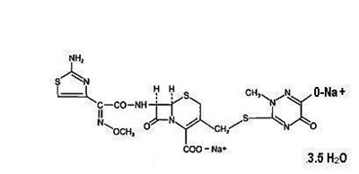 ceftriaxone-figure-01.jpg Ceftriaxone - ceftriaxone figure 01