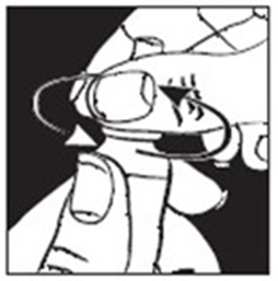 Figure A (Timolo Fig3)