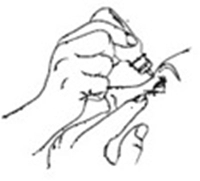 Figure C (Timolo Fig5)