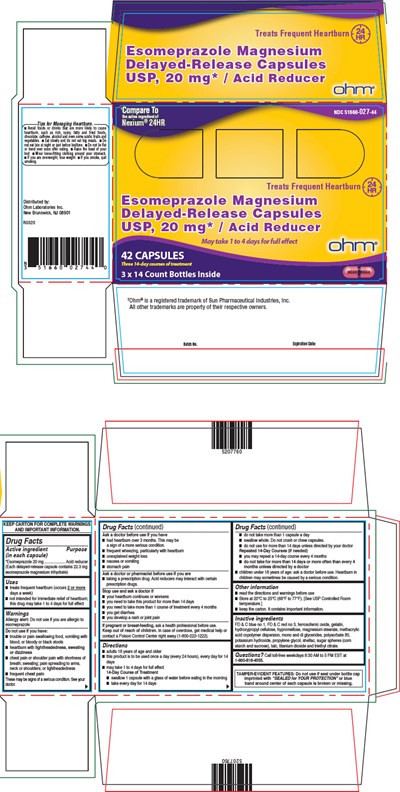 esomeprazole-01.jpg PRINCIPAL DISPLAY PANEL - 42 Capsule Bottle Carton - esomeprazole 01