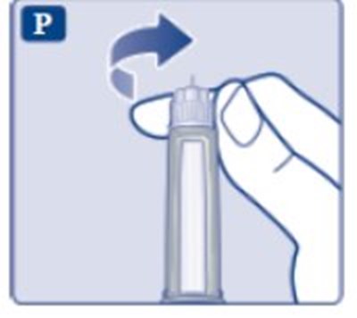 Step 5 (Fig. P)