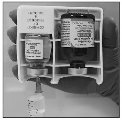 Carmustine-step-3 (Carmustine Step 3)