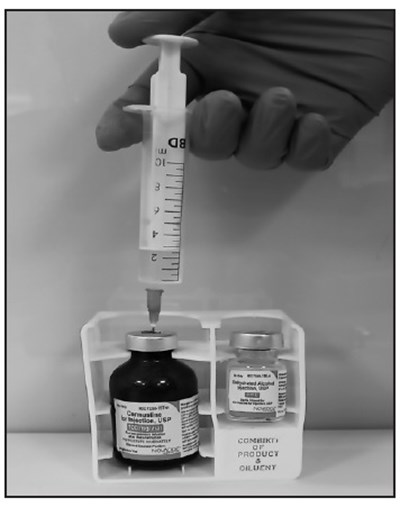 Carmustine-step-4 (Carmustine Step 4)