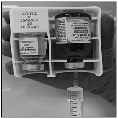 Carmustine-step-8 (Carmustine Step 8)