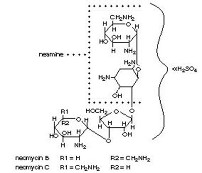 Neomycin Sulfate (structural Formula) (22ce5586 13cd 4b6b Abbd 17f6429ac062 01)