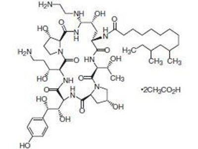 Cas05 0002 02