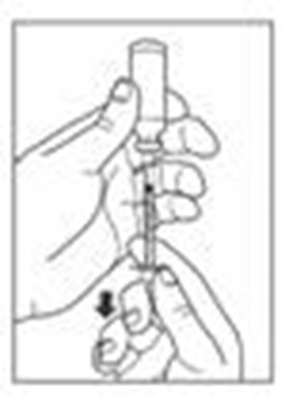 Figure (Apidra 13)
