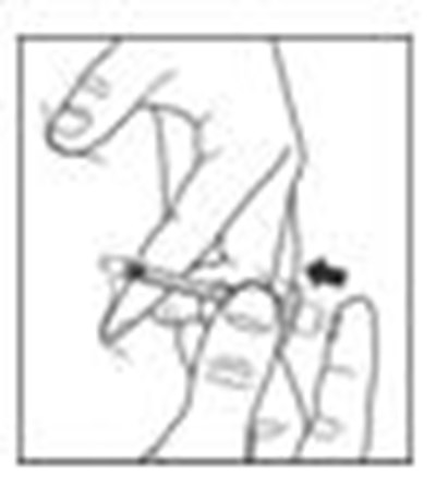 Figure (Apidra 16)