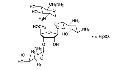 Neomycin-chemical (Neomycin Chemical)