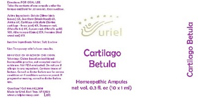 CartilagoBetulaAmpules.jpg CartilagoBetulaAmpules - CartilagoBetulaAmpules
