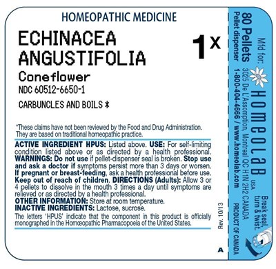 IMAGE OF TUBE LABEL - hlab genlabel echinac ang