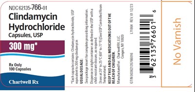 Image Description (Clindamycin Hydrochloride Tablet 300mg 100s Label)