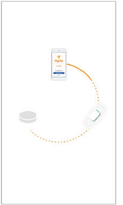 Image - mycite figure 15a
