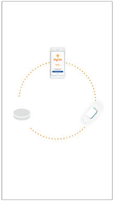 Image - mycite figure 15b