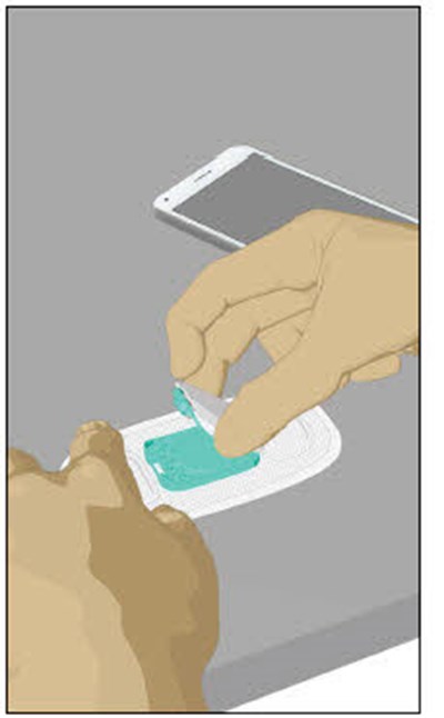 Image - mycite figure 27a