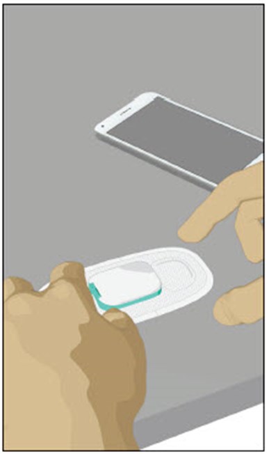 Image - mycite figure 27c