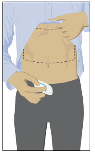 Image - mycite figure 31c