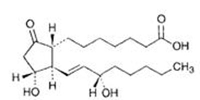 Edex 1