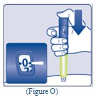100 U/ml Ifu (Figure O)