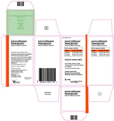 pancreaze-05.jpg PRINCIPAL DISPLAY PANEL - 100 Capsule Bottle Carton - NDC 62541-401-10 - pancreaze 05