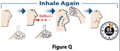 Figure Q (IFU)