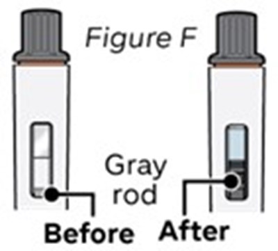 Figure-f (Figure F)