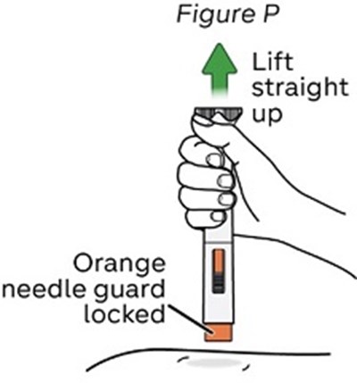 Figure-p (Figure P)
