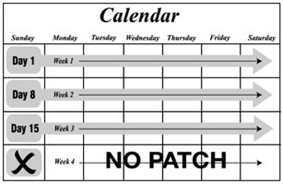 Patient Information: Calendar (Image 16)