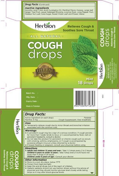 MintCarton.jpg Mint Drops Carton - MintCarton