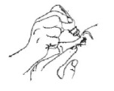 Timolol-spl-figure-c (Timolol Spl Figure C)