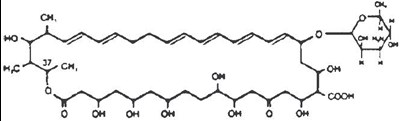 Chemical Structure - nystatin 01