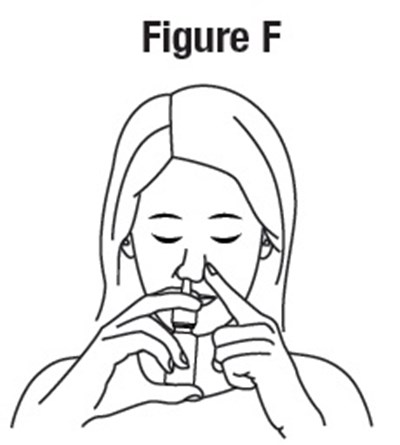 figure-f.jpg - figure f