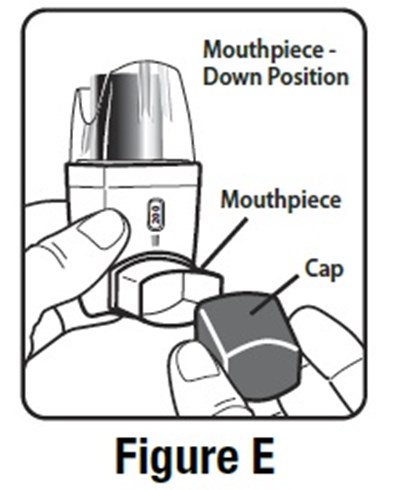 Figure-e.jpg (Figure E)