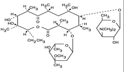 erythromycin-01.jpg Chemical Structure - erythromycin 01