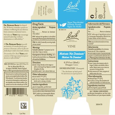 Vine.jpg Bach Original Flower Remedies Vine - Vine