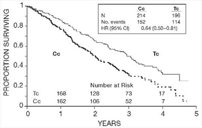 paclitaxel-03.jpg Figure 2. Survival: Cc Versus Tc (GOG-111) - paclitaxel 03
