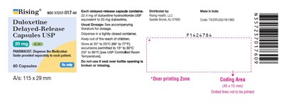 PACKAGE LABEL-PRINCIPAL DISPLAY PANEL - 20 mg (60 Capsules Bottle) - duloxetine fig10