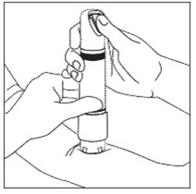 Figure 3 (Zingo 4)